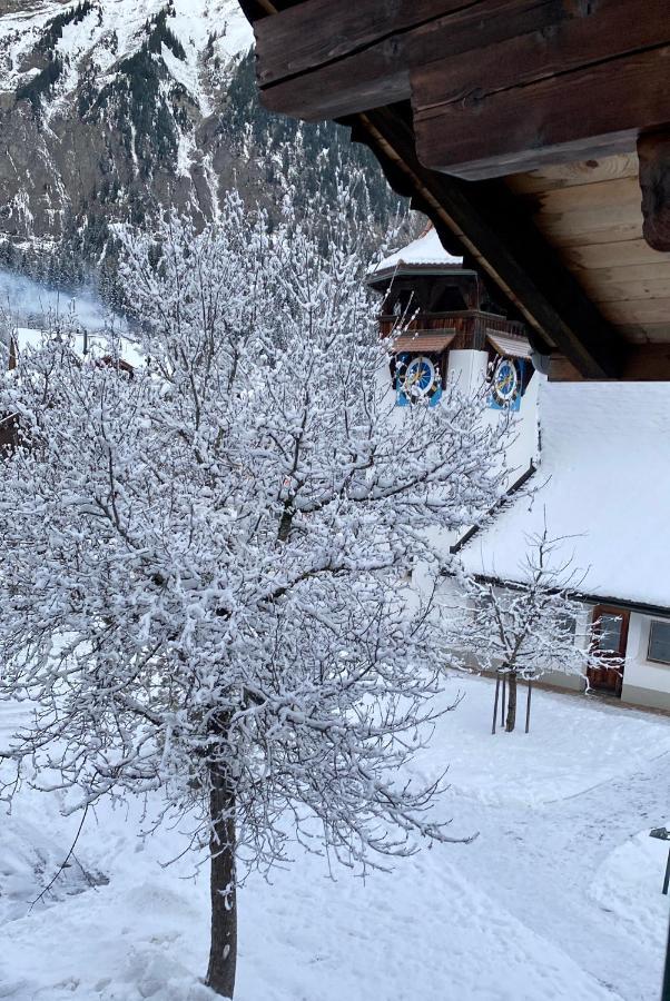 Familienferien Im Chalet Baergli Kandersteg Εξωτερικό φωτογραφία